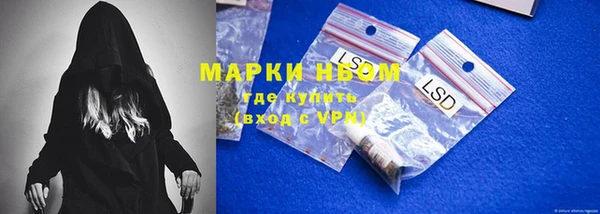 прущие грибы Беломорск