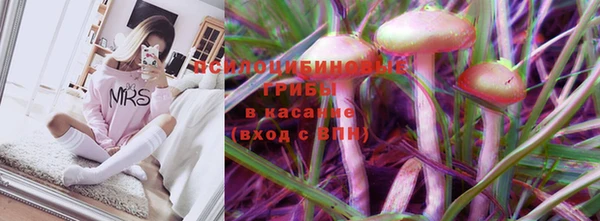 прущие грибы Беломорск