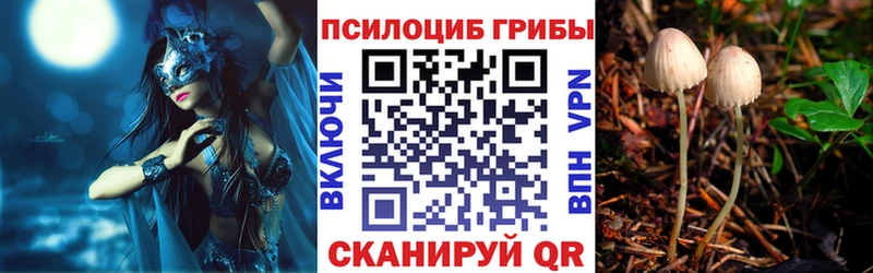 MEGA маркетплейс  darknet официальный сайт  Галлюциногенные грибы GOLDEN TEACHER  Ачхой-Мартан 